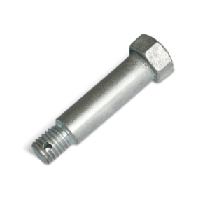 Aasapolt